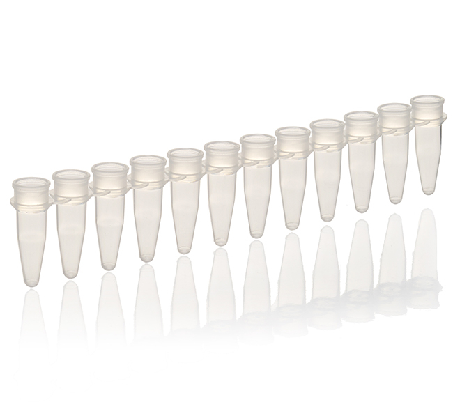 Tubes, strips of 12